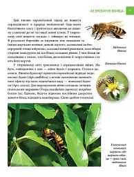 Найнебезпечніші істоти планети. Енциклопедія для допитливих - Андрій Гапченко - мініатюра 3