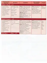 Smart Junior 6. Teacher's Book - мініатюра 6