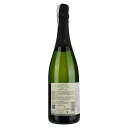 Вино ігристе LGC Salasar Blanquette de Limoux біле брют 0.75 л - мініатюра 2