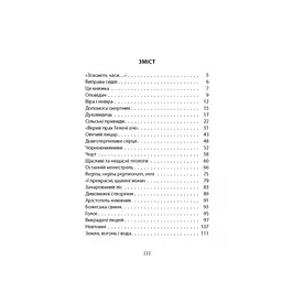 Книга Кельтські сутінки - Вільям Батлер Єйтс Астролябія (9786176642589) - мініатюра 4