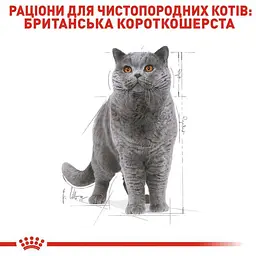 Набір вологого корму для дорослих кішок породи британська короткошерста Royal Canin British Shorthair Adult шматочки в підливі 1.02 кг (12 шт. х 85 г) - мініатюра 5