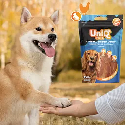 Ласощі для собак UniQ PETS В'ялене куряче м'ясо 250 г - мініатюра 8
