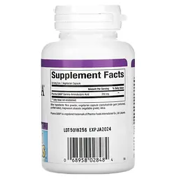 Гама-аміномасляна кислота Natural Factors Stress-Relax Pharma GABA 250 мг 60 вегетаріанських капсул - мініатюра 2