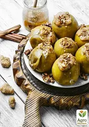 Саджанець Agro-Market Яблуня Пепінка золота (зимовий сорт) 1 шт. в упаковці (25646) - мініатюра 3