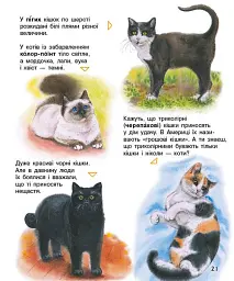 Коти. Енциклопедія дошкільника - Юлія Каспарова - мініатюра 7