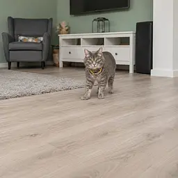 Нашийник для котів Trixie Клітинка з дзвіночком нейлоновий 20-30 см/10 мм колір в асортименті - мініатюра 7