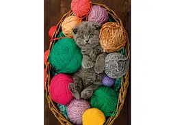 Пазл Clementoni High Quality Collection: Миле кошенятко (High Quality Collection - Fluffy Kitten Puzzle - 500 pcs.), 500 ел. (35617) - мініатюра 2