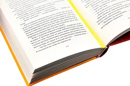 Право на чари - Террі Пратчетт | Видавництво Старого Лева, книга українською, нова, тверда - мініатюра 2