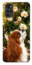 TPU чохол Demsky Flower spaniel для Motorola Moto G22