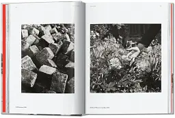 Robert Doisneau. Paris. 45th Edition - мініатюра 4