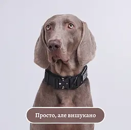 Нашийник для собак Woofy, нейлоновий з металевою пряжкою-фастекс, світловідбиваючий, чорний, L - мініатюра 8
