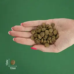 Сухий корм для стерилізованих котів Bravery Salmon Adult Cat Sterilized з лососем 600 г - мініатюра 6