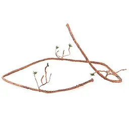 Ліана гнучка з листям для тераріуму Repti-Zoo Bend-A-Branch Vine 150см (RV0415) - мініатюра 2