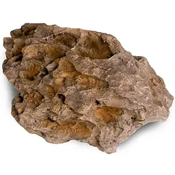 Декорація укриття Terrario Dragon Stone M 22x15x8см (23149) - мініатюра 4