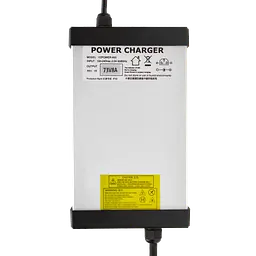 Зарядний пристрій для акумуляторів LiFePO4 60V (73V)-8A-480W - мініатюра 4