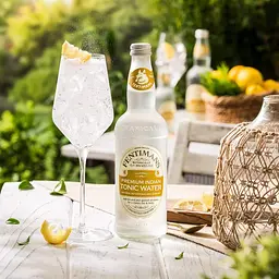 Напій Fentimans Premium Indian Tonic Water безалкогольний 500 мл (788643) - мініатюра 3