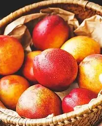 Саджанець Agro-Market Нектарин Рубіновий (лисий персик, літній сорт, середній термін дозрівання) (15918) 1 шт. в упаковці - мініатюра 2