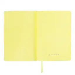 Діловий блокнот Leo Planner м'який А5 Ray 252775 320 аркушів лимонний - мініатюра 3
