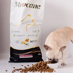 Сухий корм для собак малих порід Miocane Mini з натуральною куркою 10 кг - мініатюра 5