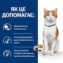 Сухий корм Hill's Prescription Diet ON-Care для котів, для підтримки у період реабілітації, при виснаженні, вт - мініатюра 5