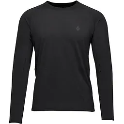 Кофта Black Diamond M Heritage Wordmark LS Tee Black M (1033-BD 7530900002MED1)
