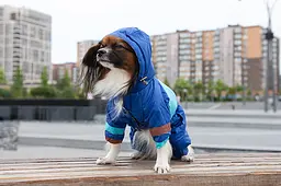 Комбінезон Smart Pet Snowfall - мініатюра 4