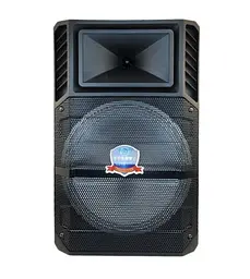 Колонка Big PK-1211 bluetooth + мікрофон (360х280х560) USB/MO3/FM/TWS Чорний - мініатюра 2