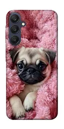 TPU чохол Demsky Мопс у ніжностях для Samsung Galaxy A25 5G