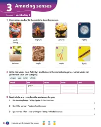 Learning Lands Level 6. Activity Book with Digital Activity Book - мініатюра 2