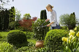Ножиці для живоплоту Gardena EasyCut (12301-20.000.00) - мініатюра 7