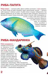 Велика книжка. Мешканці морів та океанів - мініатюра 2