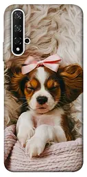 TPU чохол Demsky Sleepy spaniel для Huawei Honor 20 / Nova 5T