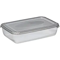 Контейнер Plast Team Polar прямокутний 206х134х50 мм 0.9 л (1671) - мініатюра 2