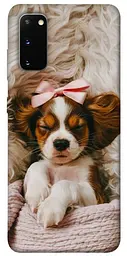 TPU чохол Demsky Sleepy spaniel для Samsung Galaxy S20