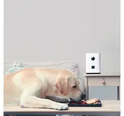 Розумна годівниця для домашніх тварин XiaomiPawbby White MG-PSM001 - мініатюра 2