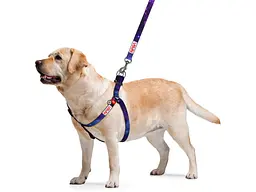 Шлея для собак WAUDOG Nylon з QR-паспортом "NASA21" M (4801-0148) - мініатюра 2