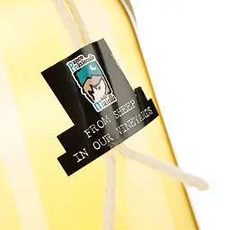 Вино Lunaria Ancestrale Pecorino Terre Di Chieti біле сухе 0.75 л - мініатюра 3