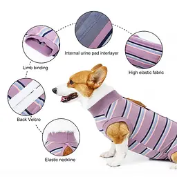 Післяопераційна попона Derby Lilac Stripe, 2XL - мініатюра 4
