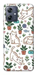 TPU чохол Demsky Cats pattern для Motorola Moto G54