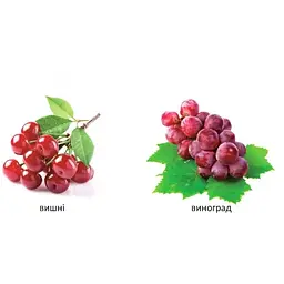 Карамелька. Що росте в саду? - Лілія Гуменна (9789669352682) - мініатюра 3