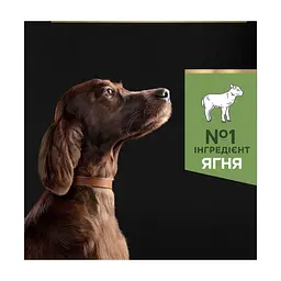 Сухий корм для собак Purina Pro Plan Large Athletic Adult 2+ Sensitive Digestion Для великих порід атлетичної статури З ягням 14 кг (7613035415591) - мініатюра 6
