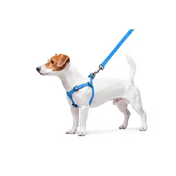 Шлея для собак водостійка Waudog Waterproof з QR-паспортом металічна пряжка-фастекс Ш 15 мм Д 40-55 см блакитний - мініатюра 7