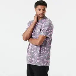 Футболка Picture Organic Chilko Printed L Сірий-Рожевий