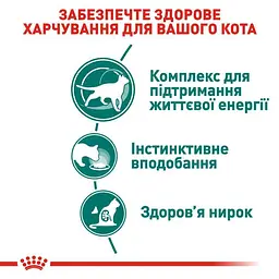 Вологий корм для кішок від 7 років Royal Canin Instinctive, шматочки в соусі, 85 г - мініатюра 7
