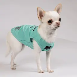 Майка-борцовка Pet Fashion Puppy для собак, розмір S, м'ятна - мініатюра 5