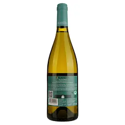 Вино Planeta Alastro Bianco, 13%, 0,75 л - мініатюра 2