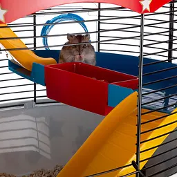 Клітка Ferplast Circus Fun для хом`яків - мініатюра 5