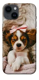 TPU чохол Demsky Sleepy spaniel для Apple iPhone 14 (6.1")