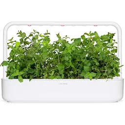 Змінний картридж Click & Grow Smart Garden М'ята, 3 капсули (7397) - мініатюра 4