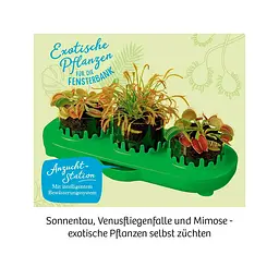 Венерина мухоловка Venus Flytrap Kosmos - Набір для дослідження (616977) - мініатюра 4